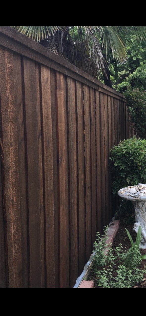 6 foot cedar board on board privacy fence with 2x6 cap, trim, and stain